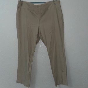 Size 24 Lane Bryant Khaki Pants